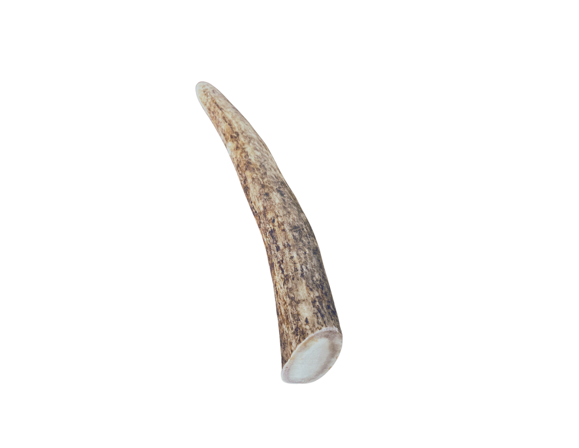 Antler dog chews best sale