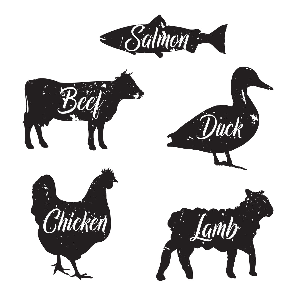 Chicken Combo Box (Salmon, Beef, Duck, Lamb)