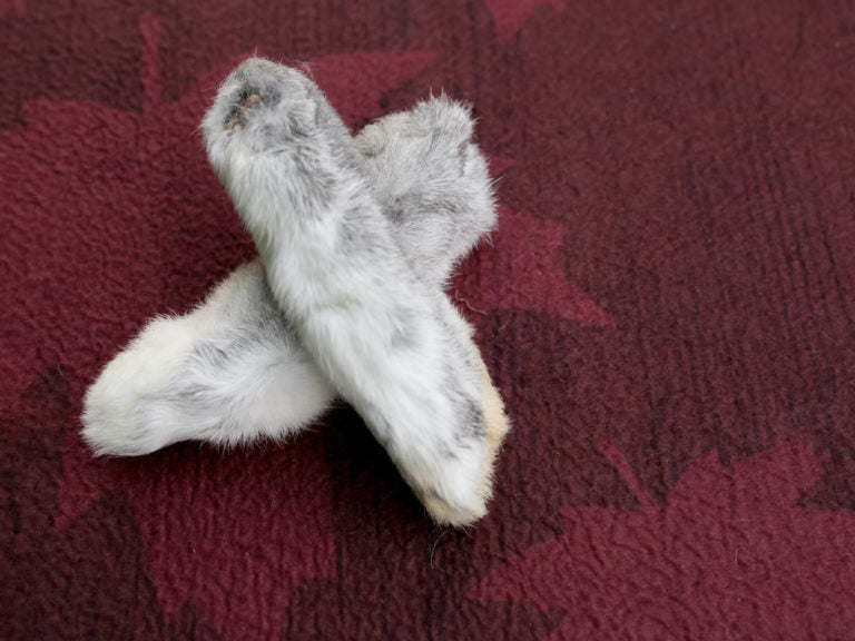 Dehydrated Rabbit Feet Shades of Gray