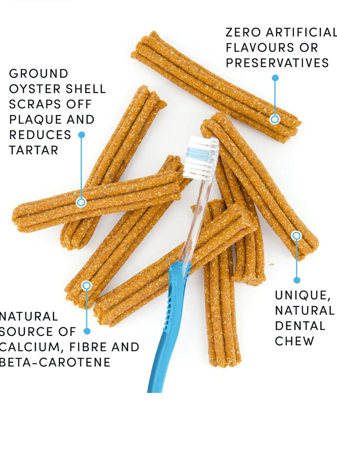 Plaque Busters Pumpkin Spice Dental Sticks