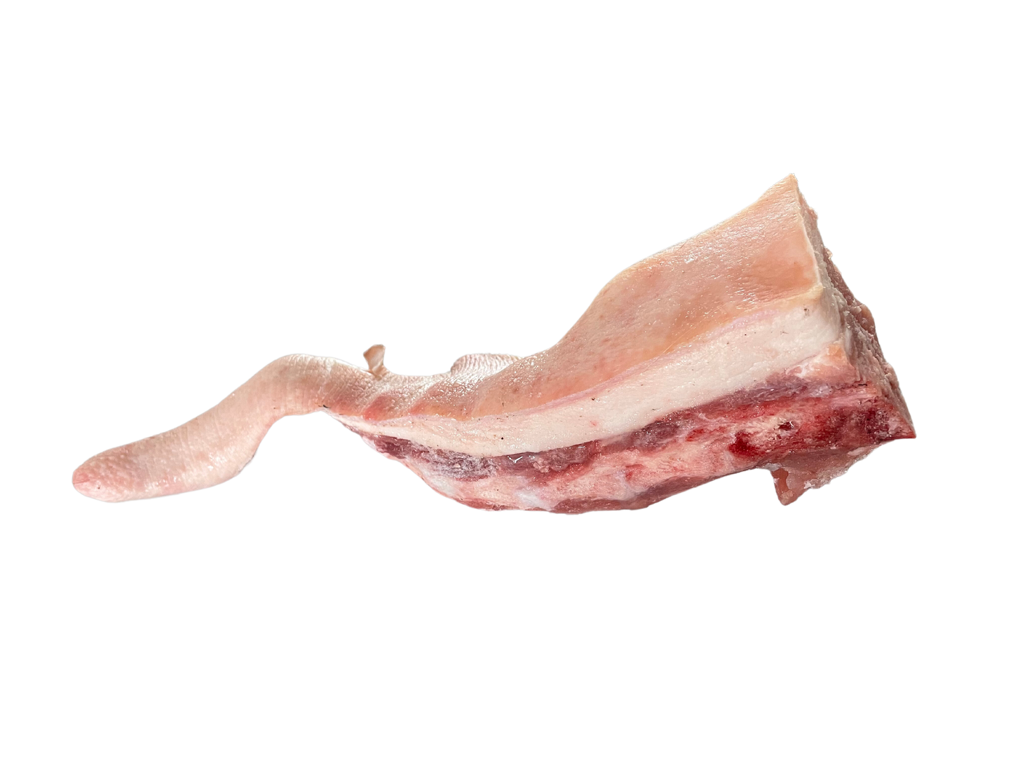 Raw Pig Tail