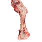 Raw Pig Femur